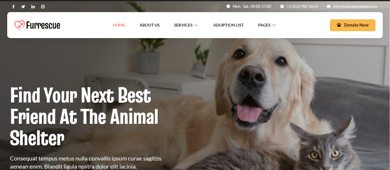 Furrescue - Animal Shelter & Pet Rescue Elementor Template Kit Furrescue - Animal Shelter & Pet Rescue Elementor Template Kit - Image 1